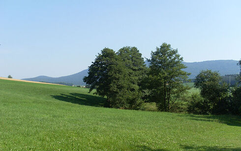 Bayerischer Wald